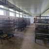 Chirie spatiu industrial, s. Malcoci, 300 mp. thumb 5