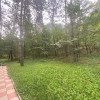 Casă spațioasă lângă pădure, teren 12 ari, 3 etaje + mansardă imaginea mica 5 Casă spațioasă lângă pădure, teren 12 ari, 3 etaje + mansardă thumb 5