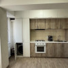 Apartament cu un dormitor complexul Dansicons  thumb 6