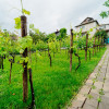 Casă individuală cu două ieșiri – Codru, str. Europa thumb 8