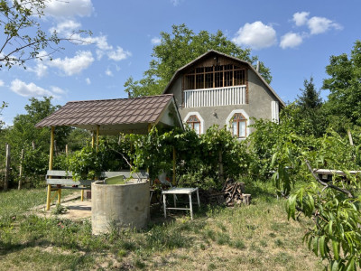 Casă de vacanță în satul Cobușca Nouă, raionul Anenii Noi!