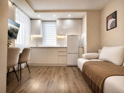 Apartament tip studio în Botanica 