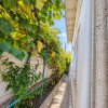 Casă individuală de 220 mp, 3 nivele, teren 3,5 ari – Rîșcani, str. Petricani thumb 7