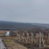 Продается земля сельскохозяйственного назначения, 51 соток, Малкоч! thumb 2
